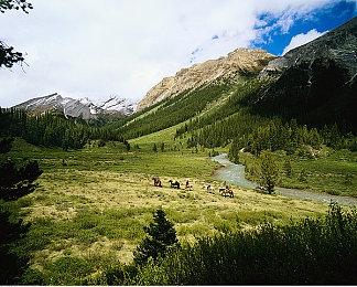 还原度不错《霍格沃茨之遗》哈利波特Mod分享